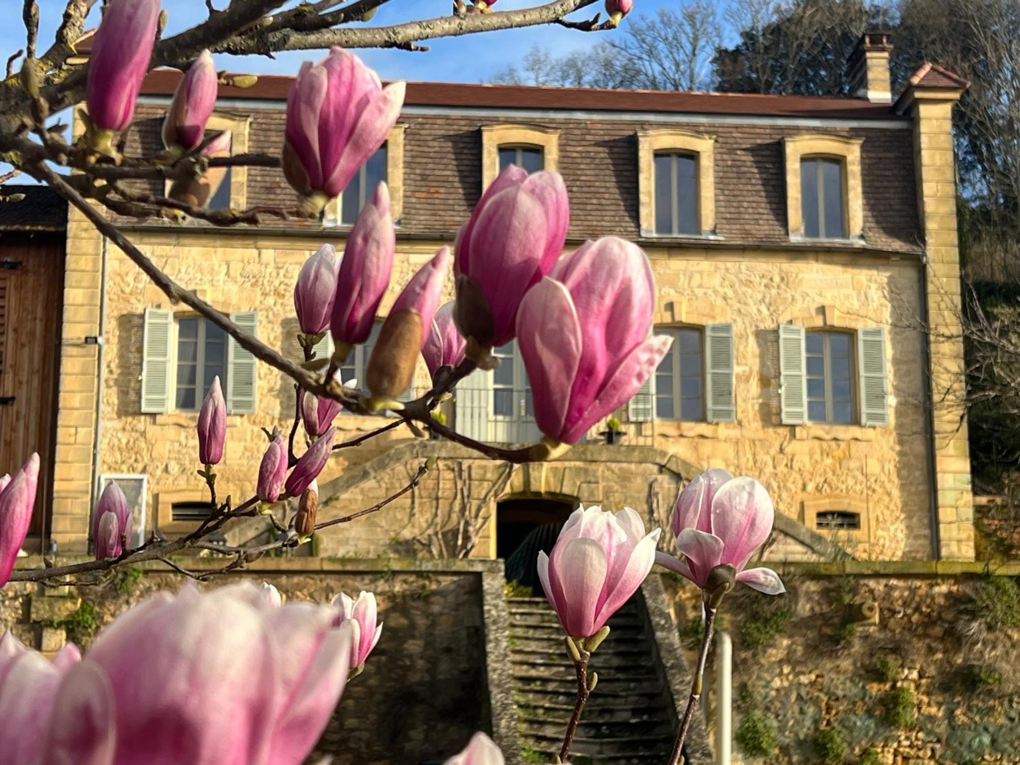 Le Clos De L'Ane Dentelle Vézac Eksteriør billede
